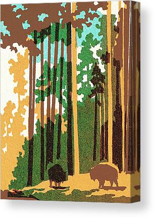 Wood Bison Canvas Prints