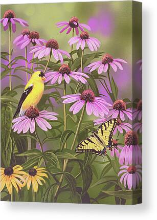 Tiger Swallowtail Canvas Prints