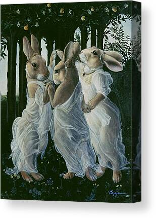 Rabbit Canvas Prints