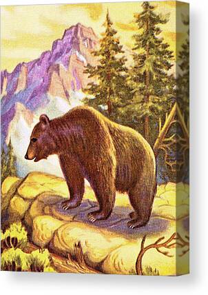 Bear Mountain Drawings Canvas Prints