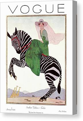 Zebra Stripes Canvas Prints