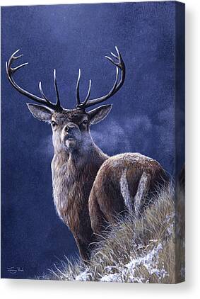 FIGHTING STAGS PICTURE ART PRINT POSTER JT023A