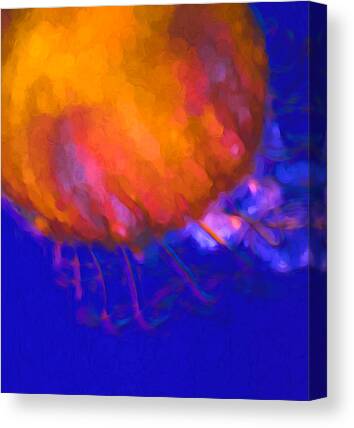 Cnidaria Mixed Media Canvas Prints