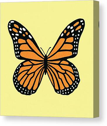 Monarch Butterfly Drawings Canvas Prints