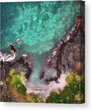 4 x6 inch painting ready to display original acrylic on canvas Forest on Mauna Loa big island Hawaii