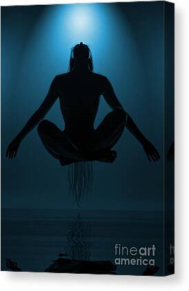 Levitating Canvas Prints