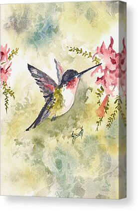 Hummingbird Canvas Prints