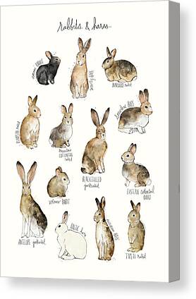 Hares Canvas Prints