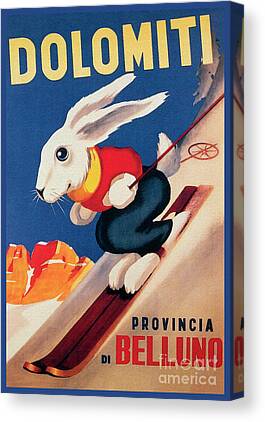 Bunny Rabbit skiing animal wall artl poster art  gift 13x19 GLOSSY PRINT 