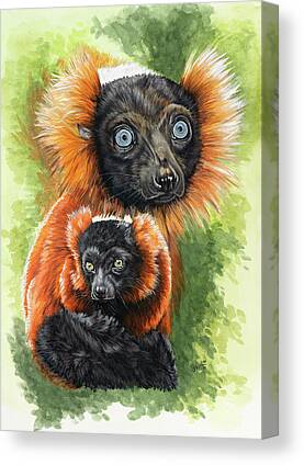 Red Ruffed Lemur Canvas Prints