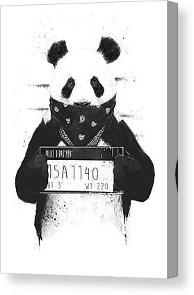 Vintage style quality art print POSTER.Panda Brookfield Zoo.Room Art Decor.715i 
