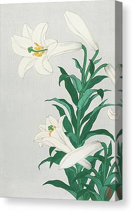 Spider Lily Canvas Prints