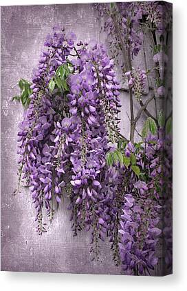 Whimsical Wisteria Canvas Prints