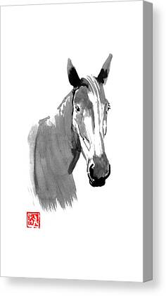 Horse Head Drawings Canvas Prints