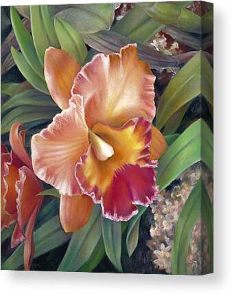 American Orchid Society Canvas Prints