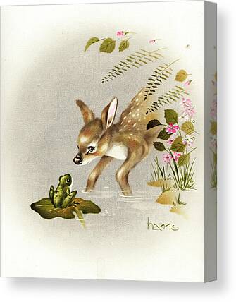 Fawn Lily Canvas Prints