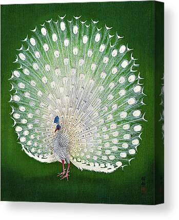 Japanese Peacock Canvas Prints | Fine Art America
