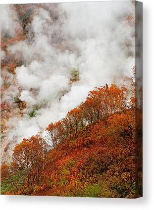 International National Parks Canvas Prints for Sale