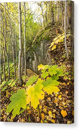 Scenic Canvas Prints