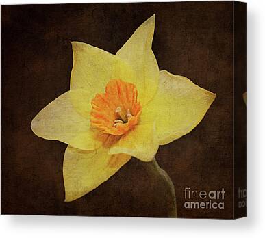 Close Focus Floral Mixed Media Canvas Prints