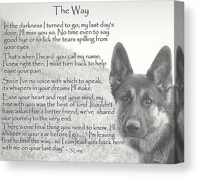 Pawprints Canvas Prints