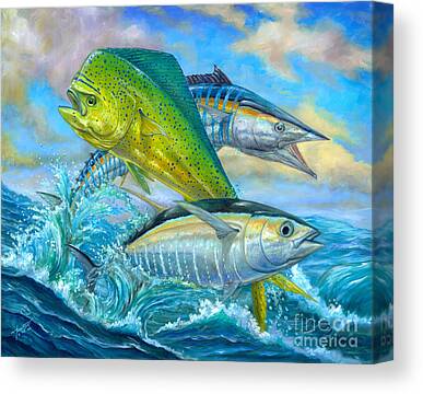 Yellowfin Tuna Canvas Prints