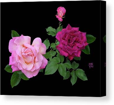 Canvas Wall Art Print Rose Home Decor Pink roses on black background