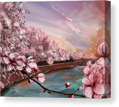 Cherry Blossom Festival Canvas Prints & Wall Art for Sale (Page #17 of 25)  - Fine Art America