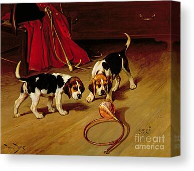 Beagle Hound Crop Whip Horn Puppies Hunt Canvas Prints