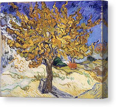 Vincent Van Gogh Farmhouse Canvas Prints