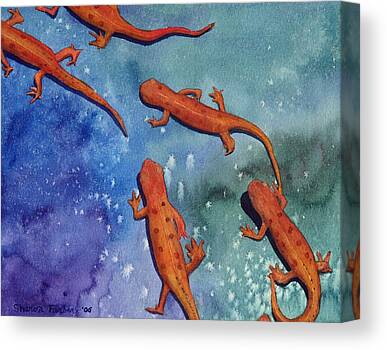Salamanders Canvas Prints