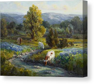 Texas Hill Country Canvas Prints