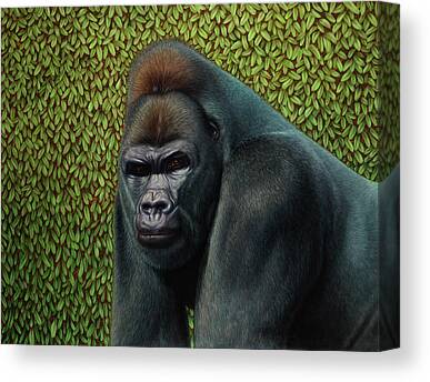 Gorilla Mixed Media Canvas Prints