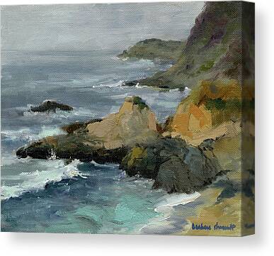 Bodega Head Canvas Prints