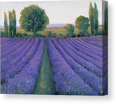 Purple LAVENDER FIELD CANVAS on stretcher A06079 Wall Art Poster 