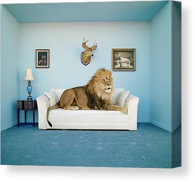 Animal Surreal Pet Canvas Prints