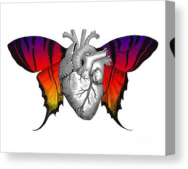 Hearts With Wings Canvas Prints