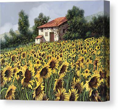 Tuscany Paintings: Guido Borelli Sunflower Canvas Prints