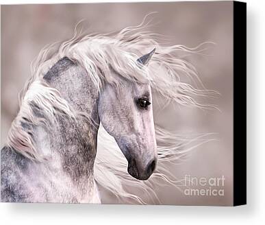 Gray Horses Digital Art Limited Time Promotions