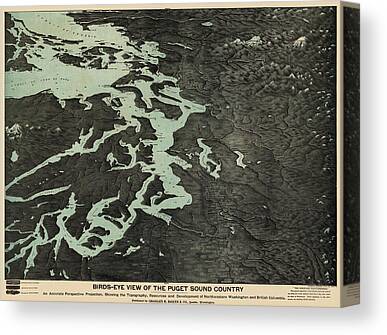 Puget Sound Drawings Canvas Prints