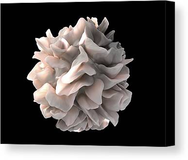 Scanning Electron Microscope Canvas Prints