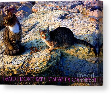 Strong-willed Cat Canvas Prints