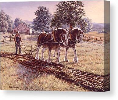 Plow Horse Canvas Prints