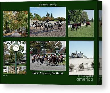 Kentucky Horse Park Photos Canvas Prints