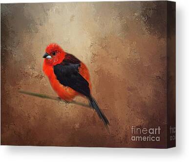 Tanager Canvas Prints
