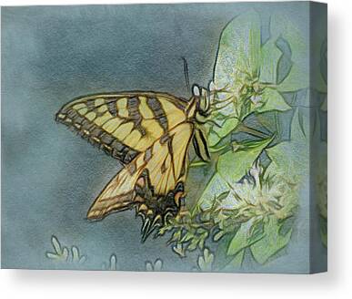 Fragile Mixed Media Canvas Prints