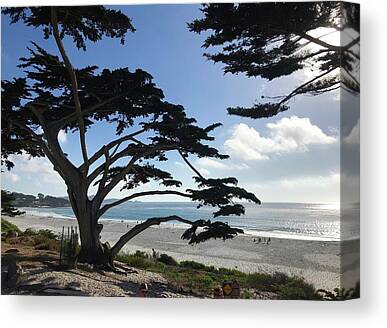 Carmel By the Sea Ocean View 10x15 Rustic Home Decor, Ready to Hang Art California Vintage Photograph Birch Wood Wall Sign 