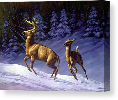 Startled White Tail Deer Canvas Prints