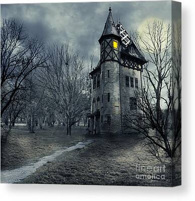 Abandoned House Canvas Prints