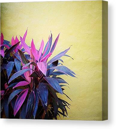 Mexico Canvas Prints